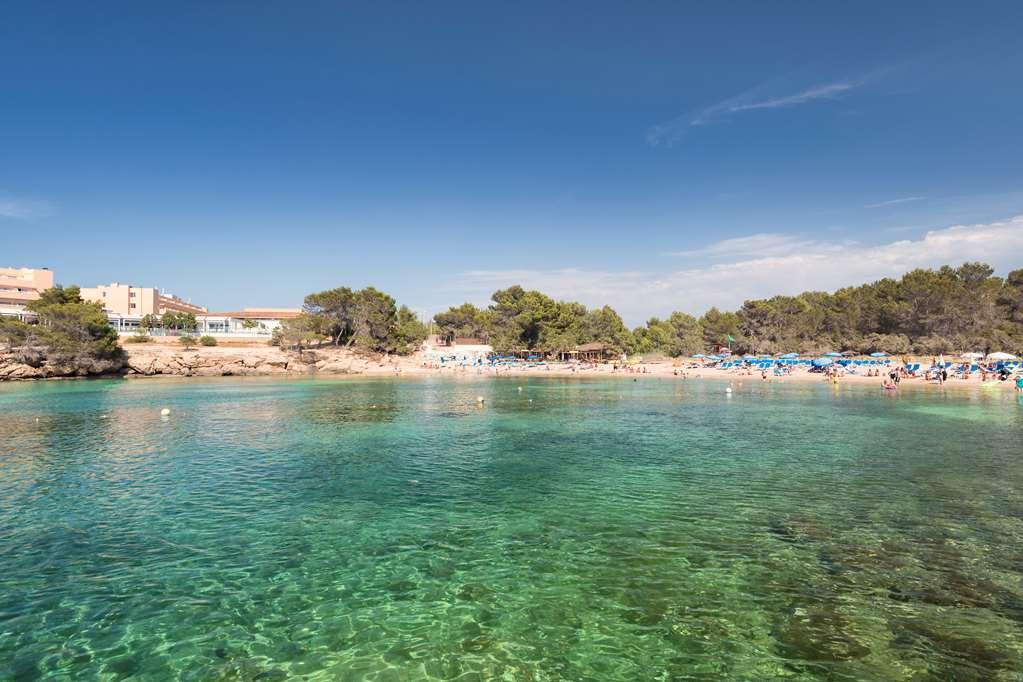 Hotel Occidental Ibiza Port d'Or Torrent
